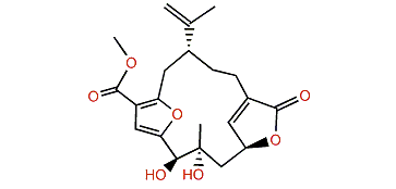 Sinumaximol B